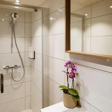 Triplex 4* Expose Sud-est, 12 Pers, Proche Telesiege, Terrasse, Animaux Admis - Fr-1-263-360 Chalet *